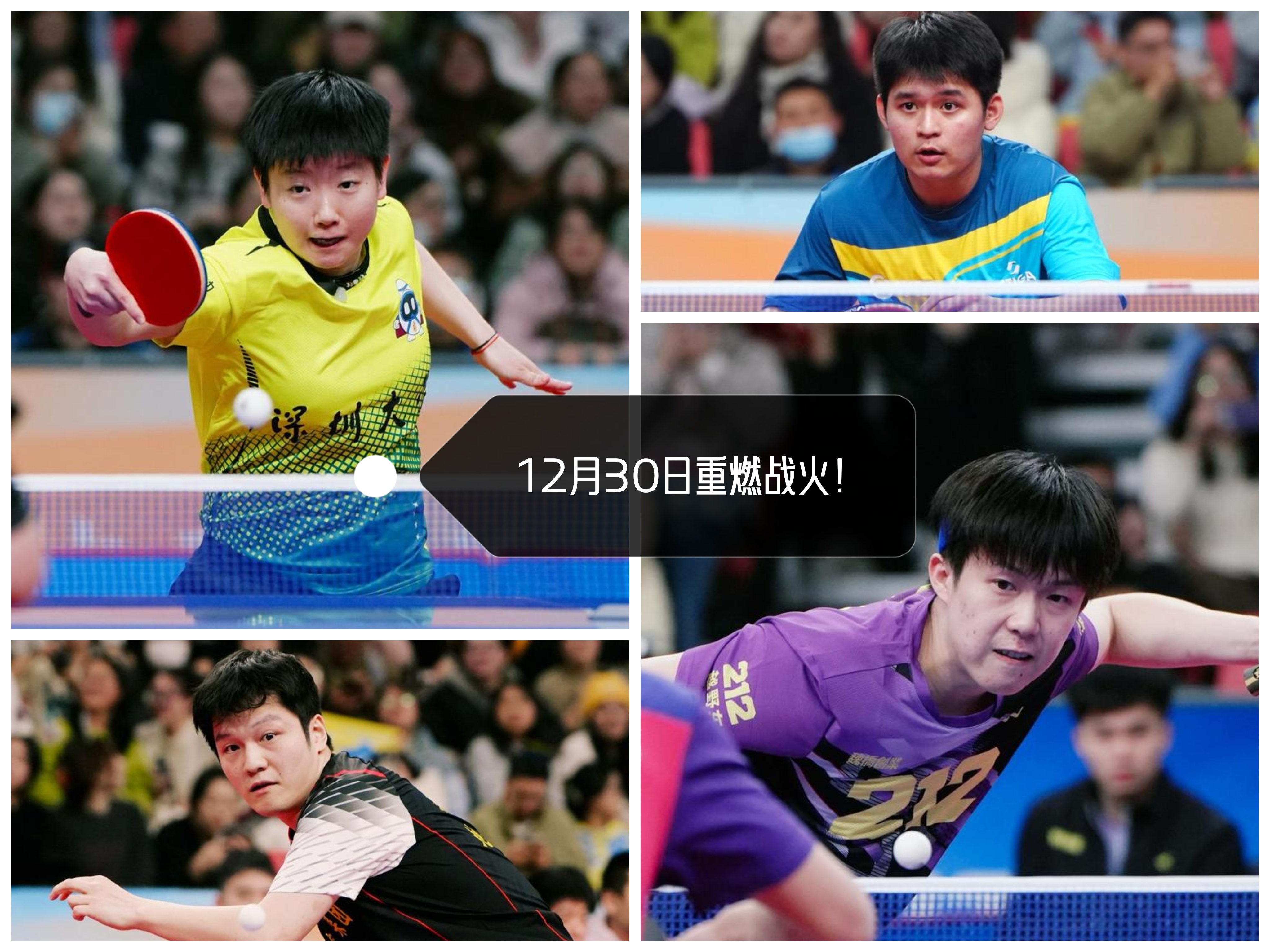 终极之夜！乒乓球冠军悬念即将揭晓