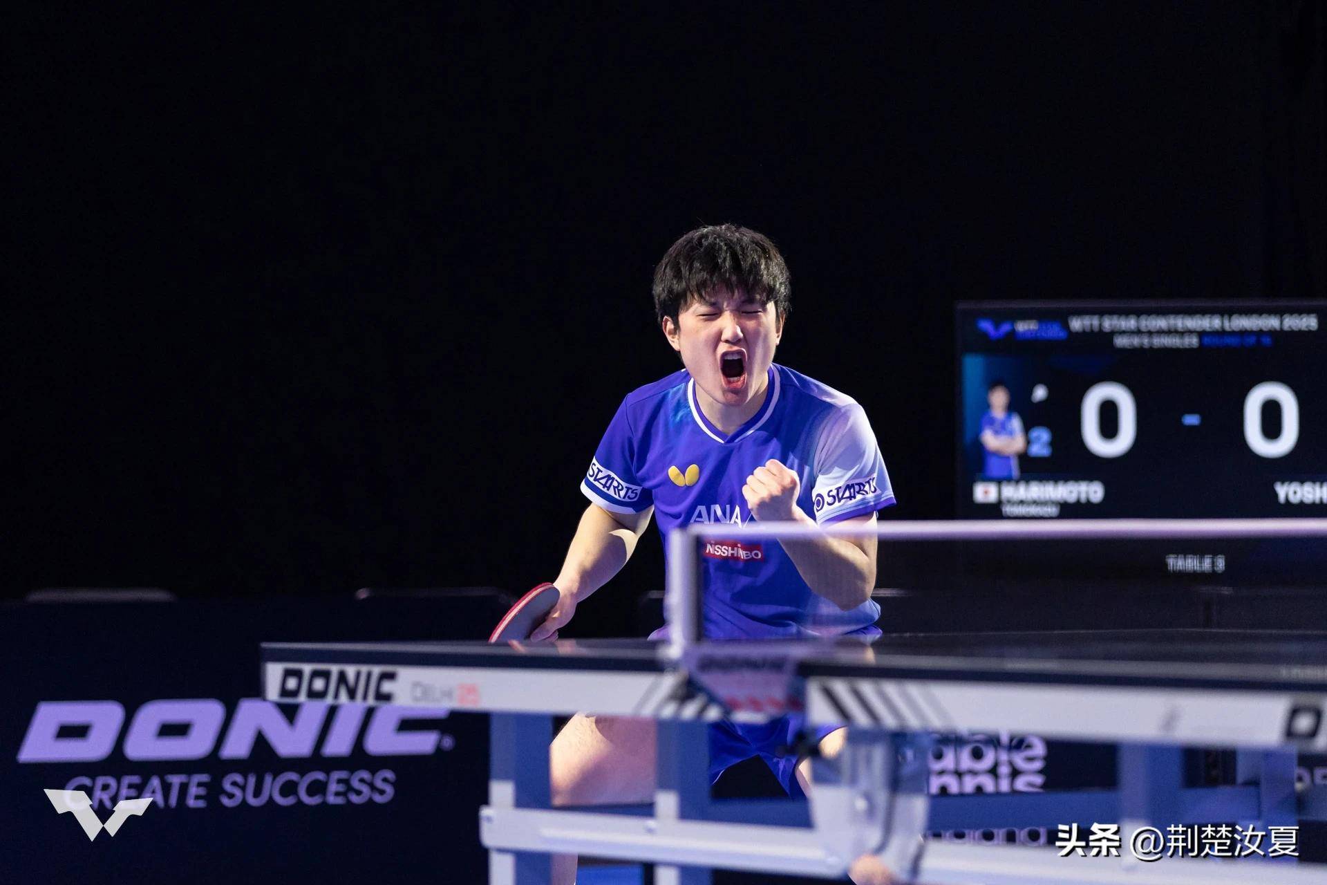 开云体育中国-包含英格兰队完胜波兰队，张本智和扛起全队的词条