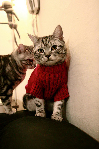 东方的铁壁与西方的镰刀，当团队压制遇见个人接管