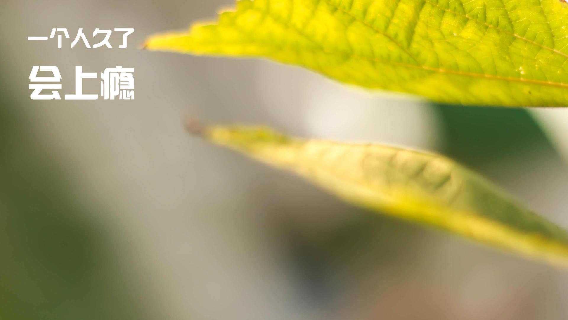 开云体育登录-迪亚斯爆发点燃激情，马赛补时绝杀塞维利亚上演逆转奇迹