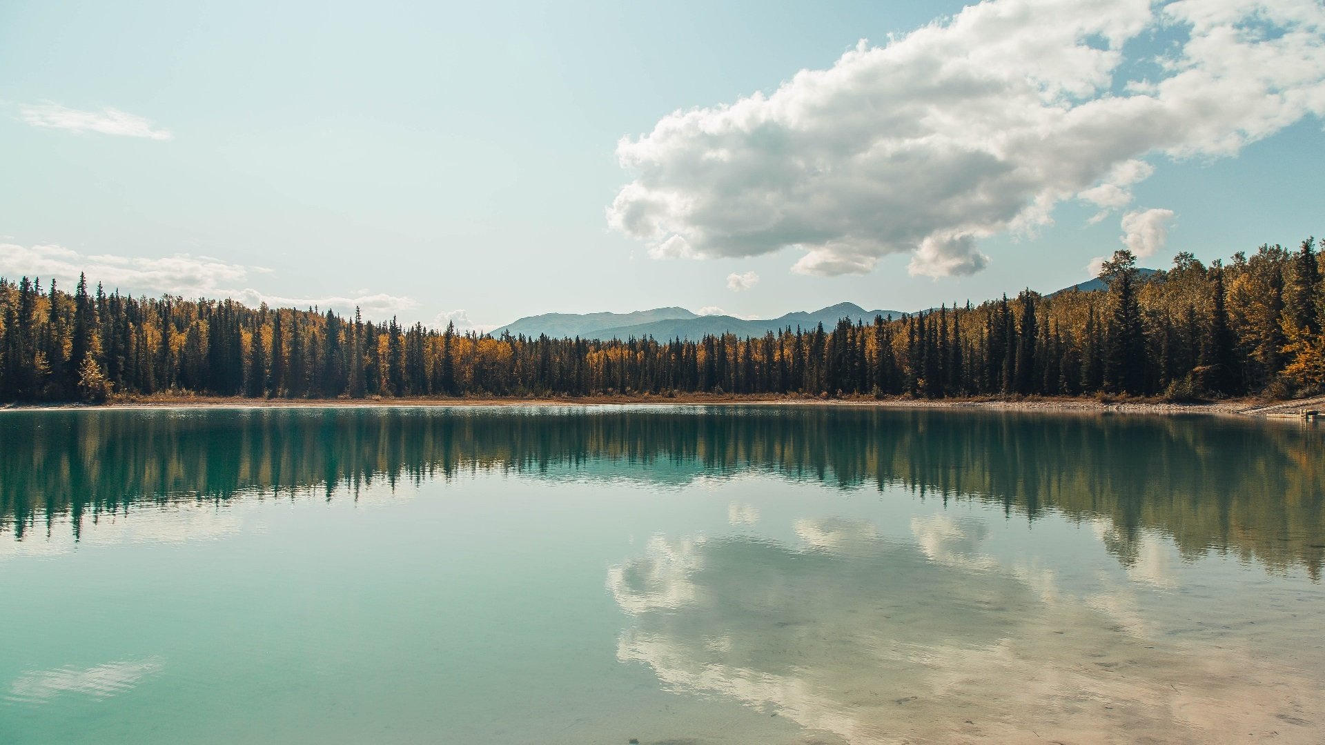 开云体育登录-天赋撕裂战术版，公牛字母哥的统治力为谁敲响警钟？