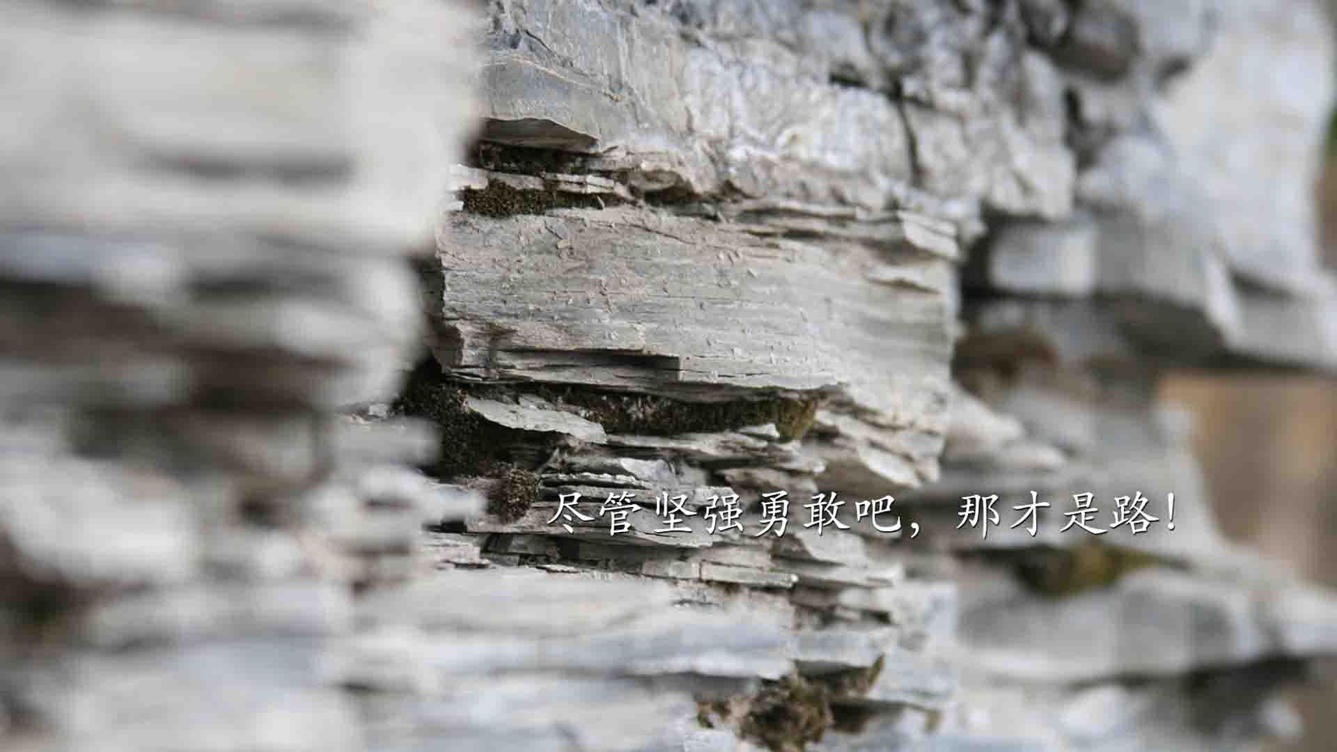 切特·霍姆格伦逆转乾坤！广东队梦幻联动末节击溃独行侠