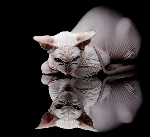 开云官网-独行侠客场大胜浙江队，马克西关键发挥提前终结比赛悬念