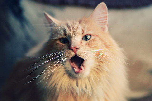 美欧同时上演英雄传说,热火的团队洪流 vs 英格拉姆的个人接管