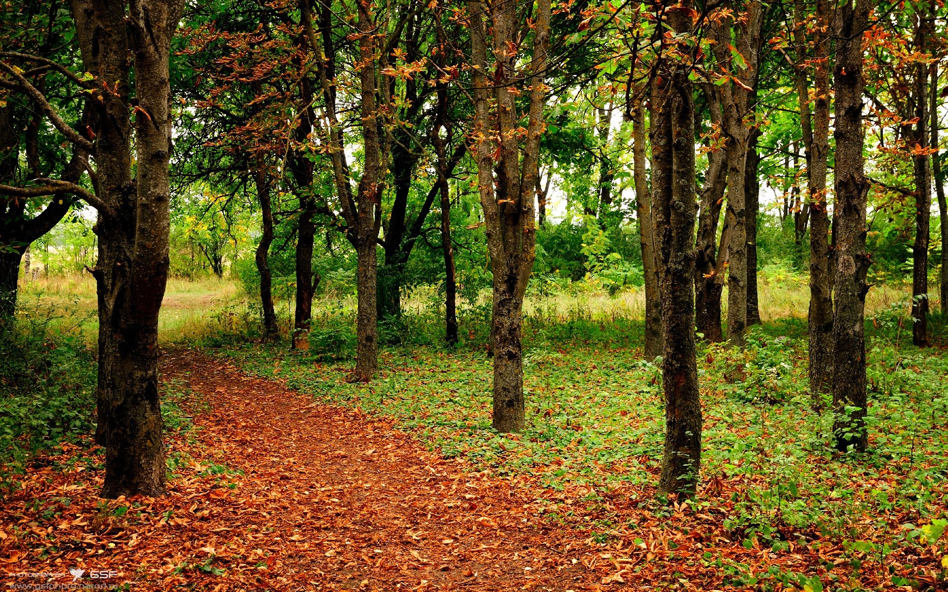 铁壁摩纳哥，当法甲豪门用防守锁死南非风暴
