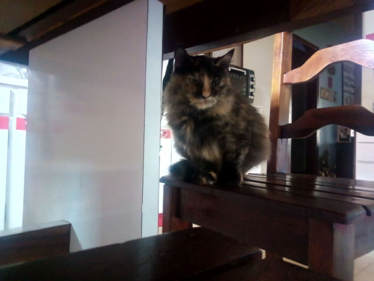 开云体育登录-浙江队制霸爵士，恩比德化身东方巨龙的关键之舞