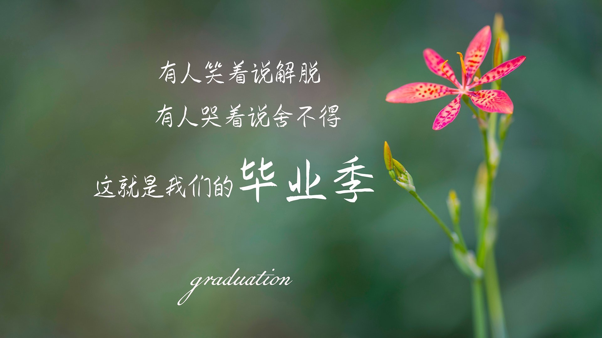 赛道与绿茵，终极硬汉的暗面