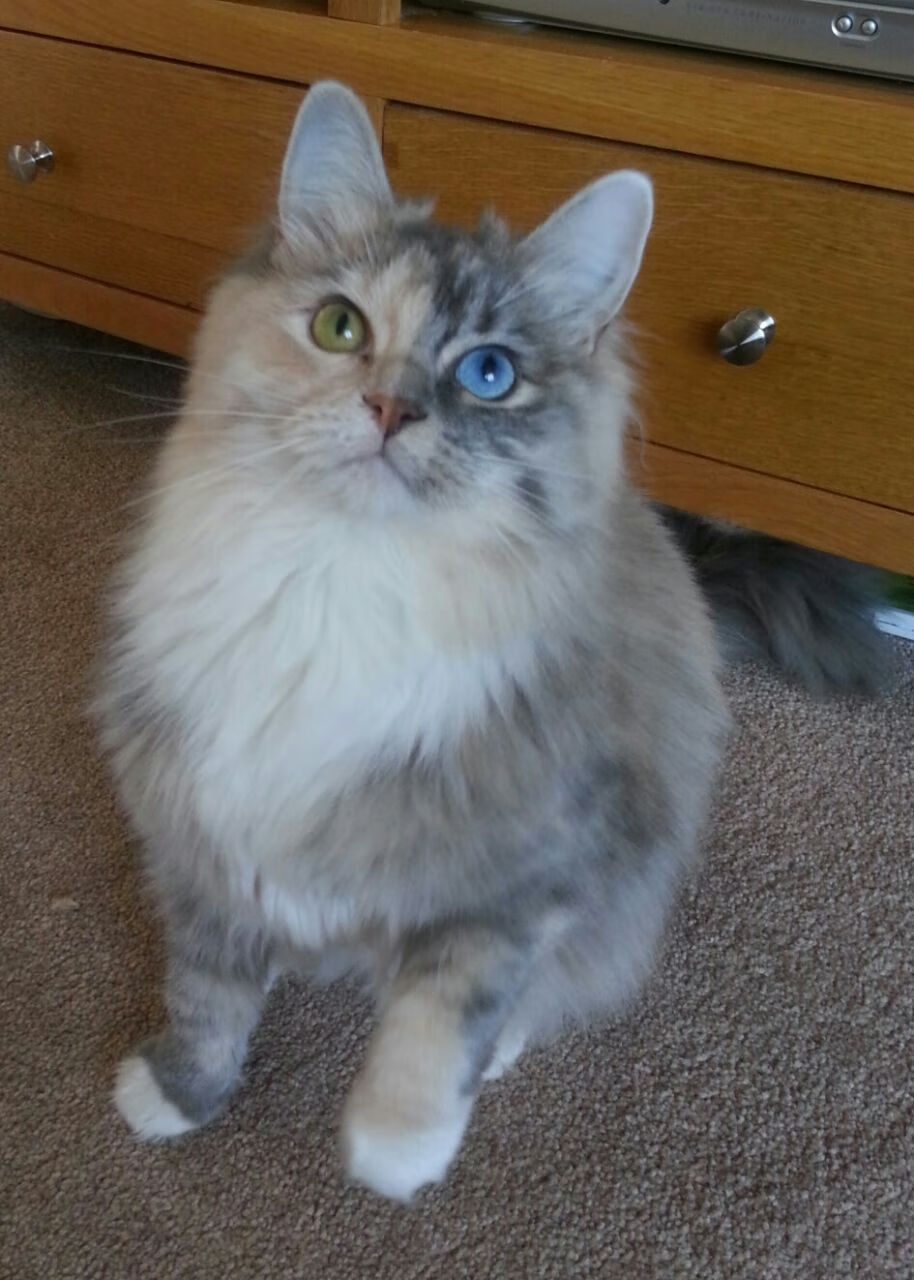 开云体育登录-内线巨兽小贾伦数据全面爆炸 深圳队攻防一体彻底粉碎马刺体系